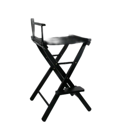 Director chair